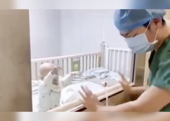 Victoria’da  4 bebekte daha korona virüs tespit edildi