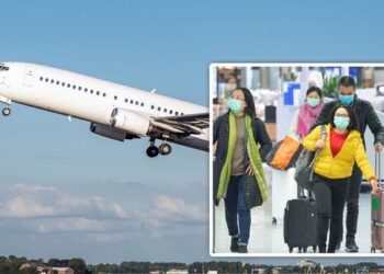 Berlin Büyükelçisi: Birkaç bin Türk yarın Türkiye’ye gönderilecek