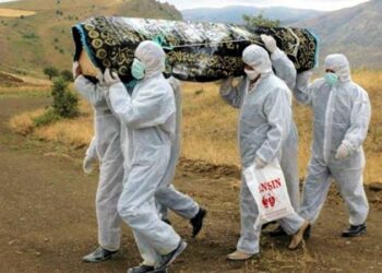 Koronavirüsü, Nemrut’un sineği!