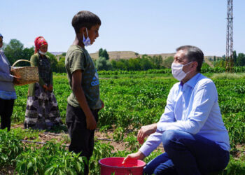 Atay: Çocuk işçi çalıştırmak suç, çocuğun karşısındaki ise Bakan