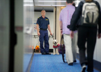 Avusturalyalı tüketici 19 bin dolarlık çanta aldı, ülkeye sokamadı