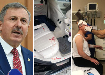 Gelecek Partili Özdağ’a silahlı sopalı saldırı: MHP’li Yalçın ‘müptezel’ demişti