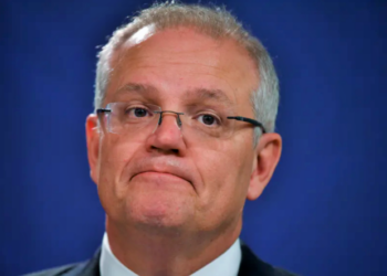 Başbakan Morrison, parlamentodaki tecavüz iddialarıyla ilgili özür diledi