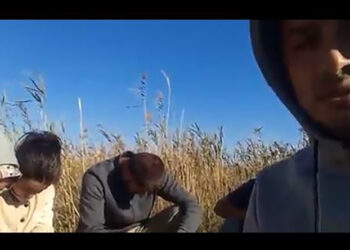 Türk sığınmacılar, Yunanistan tarafında bataklık kaplı bir adada 6 gündür mahsur