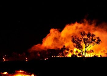 West MacDonnell, Milli Parkı’nın yaklaşık yüzde 20’si ise kül oldu