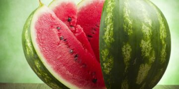 Şahan Gökbakar’dan ‘karpuz’lu YSK eleştirisi: Mango olduğuna oy birliğiyle karar verdik