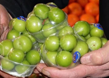 Meyve can yakıyor: Eriğin tanesi 10, kilosu bin, karpuzun kilosu ise 40 lira