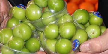 Meyve can yakıyor: Eriğin tanesi 10, kilosu bin, karpuzun kilosu ise 40 lira