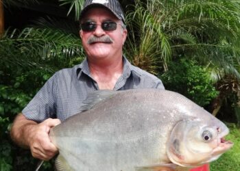 Queensland’de balıkçı, timsahın karnında bulundu