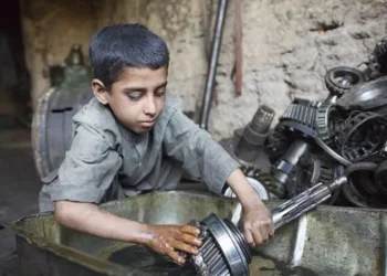 Avustralya’daki Walk Free Vakfı’ından araştırma:Türkiye, modern kölelik koşullarında yaşayan ülkeler arasında