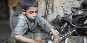 Avustralya’daki Walk Free Vakfı’ından araştırma:Türkiye, modern kölelik koşullarında yaşayan ülkeler arasında