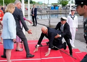 Norveç Kralı V. Harald kırmızı halıda yere kapaklandı