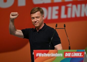 Almanya’da Sol Parti, Türkiye’deki muhaliflere vize kolaylığı istedi