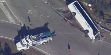 NSW’de düğün dönüşü otobüs kazası:10  ölü, 11 kişi yaralandı