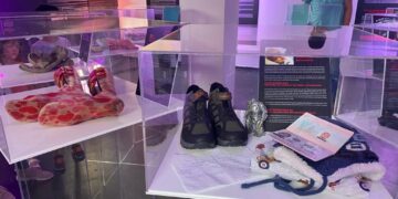 15 Temmuz sürecindeki zulümler hâlâ taze: Nazi dönemi hapishanesinde Türkiye’deki hak ihlalleri  sergisi