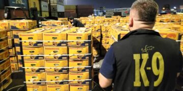 Mersin Limanı’nda muz yüklü konteynerde kokain ele geçirildi