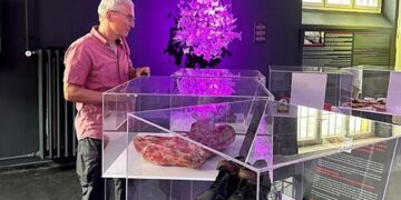 Tenkil sergisini gezen Af Örgütü üyesi Diehl: Zamanında Almanya’daki zulmün Türkiye’de de tekrarı çok üzücü