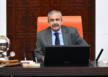 Meclis Başkan Vekili Sırrı Süreyya Önder: ‘Filistin’e gidelim’ diyorsunuz, memnuniyetle ama  benim yurt dışı yasağım var!