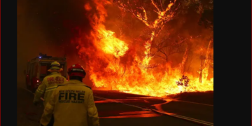 Batı Avustralya’da orman yangınları kontrol altına alınamıyor