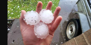 NSW’yi dolu vurdu: Victoria’da fırtına nedeniyle devrilen ağaç 2 kişinin hayatına neden oldu