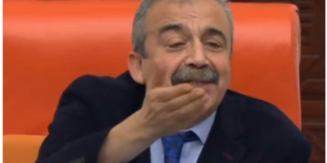 Meclis Başkan Vekili Sırrı Süreyya Önder ‘ana dilde’ konuşmayı savununca, İYİ Partili üye Divan’ı terk etti!