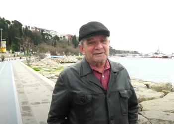 Mümtaz’er Türköne: Yumuşakçalar, yani omurgası alınmış canlılar vahşi hayvanlar kadar tehlikeli olabilir