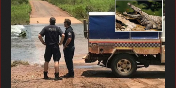 Palumpa’da timsah dehşeti: 12 yaşındaki kız çocuğunun ceset parçalarına ulaşıldı