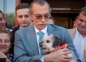 Belediye Başkanı Beşikçioğlu: Köpekler, belediye binalarında bekçi olarak görev yapacak