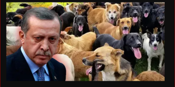 AKP ve MHP’nin oylarıyla  ‘katliam yasası’ TBMM Komisyonunda kabul edildi