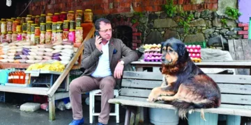 Ekrem İmamoğlu’ndan AKP’ye ‘sokak hayvanları’ çağrısı: Bu yanlıştan dönün, bunu milletimize yapmayın