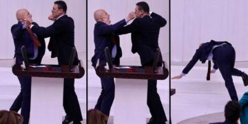 Saray’dan yumrukçu vekil, AKP’li Altay Özalan’a destek