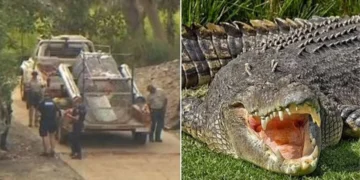 Queensland’de balıkçı dehşeti: Timsah, ailesinin gözü önünde suya çekerek öldürdü