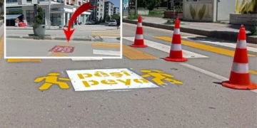 Eski Bakan Hüseyin Çelik: Kürtçe uyarı yazılarının silinmesi ‘cinnet hali’