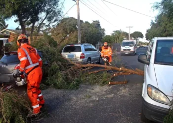 Victoria’da şiddetli rüzgar ve yağışlar can aldı, binlerce kişi elektriksiz kaldı