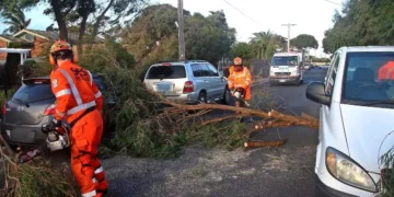 Victoria’da şiddetli rüzgar ve yağışlar can aldı, binlerce kişi elektriksiz kaldı