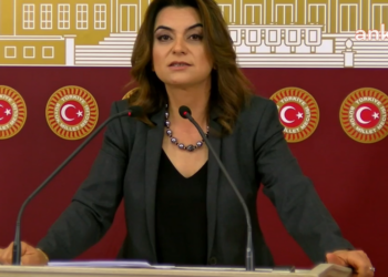 DEM Parti Grup Başkanvekili Koçyiğit:‘Yenidoğan Çetesi’nin sorumlusu AKP iktidarı değil mi?