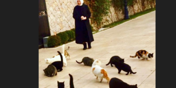 Hak İnsiyatifi Derneği: “Melek İpek, cezaevinde tek başına hayatını idame ettiremez”