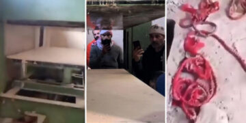 Sednaya cezaevinde korkunç işkence:Esad rejimi mahkumları idam ettikten sonra demir presle ezmiş