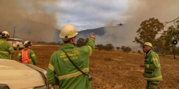 Vectoria’ daki yangında can kaybı yok: Singapur büyüklüğünde alan küle döndü