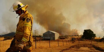 Victoria’da orman yangınında, 65 bin hektar alan zarar gördü