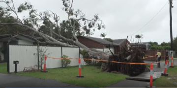 Alfred Kasırgası felaketi: Queensland’i vuran sellerin sigortaya maliyeti 1,2 milyar dolar 