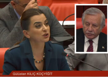 DEM Parti Grup Başkanvekili Meclis’te Kürtçe konuştu: MHP’li Celal Adan yine mikrofonu kapattı!
