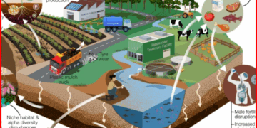 Avustralyalı Bilim Insanları:Kimyasallar, gıda üreten toprakları plastik çukuruna çevriyor