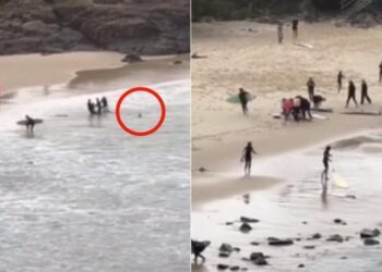 Denizde dehşet: 16 yaşındaki genci yumruklarla köpek balığından kurtardı