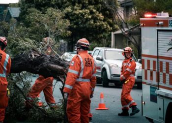 Victoria’da şiddetli rüzgârlar hayatı felç etti