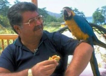 8’inci Cumhurbaşkanı Turgut Özal’ın omzuna konan papağan Cabbar bulundu