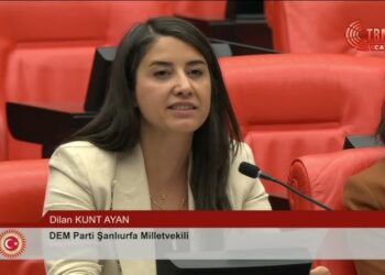 11. Yargı paketini değerlendiren DEM Parti  Milletvekili Aydın: “Bu paketler barış getirmez, sadece adaletsizliği derinleştirir