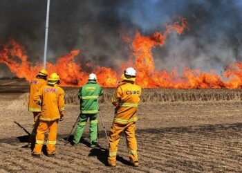 Başbakan’dan vatandaşlara yangın çağrıs: Yalnız yaşayan ve yaşlılara öncelik bekliyoruz
