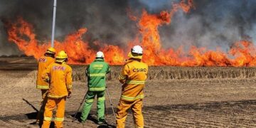 Başbakan’dan vatandaşlara yangın çağrıs: Yalnız yaşayan ve  yaşlılara öncelik bekliyoruz
