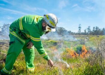 Federal Hükümet’ten Victorialı yangınzedelere 19,5 milyon dolarlık destek